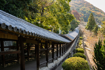 Fototapeta premium 吉備津神社