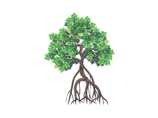 mangrove tree vector illustrations - obrazy, fototapety, plakaty