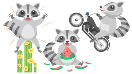 Fototapeta na wymiar Set Abstract Collection Flat Cartoon Different Animal Raccoons Sat On A Catus And Screams, Reared Up On A Motorcycle, Eats Watermelon, And Around The Peel Vector Design Style Elements Fauna Wildlife
