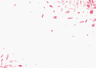 Color Tree Vector Transparent Background. Peach