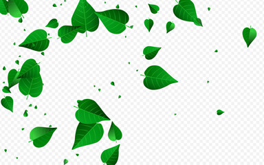 Grassy Greens Flying Vector Transparent