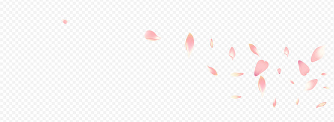 White Peach Vector Panoramic Transparent