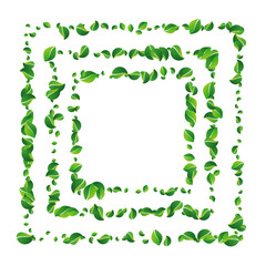 Swamp Greens Transparent Vector White Background.