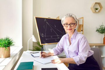 Portrait of a female school math teacher in the classroom. Beautiful middle aged woman in a shirt...