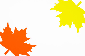 Red and yellow autumn leaf on white background, space for text