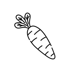Carrot doodle icon. Hand drawn black sketch. Vector Illustration.
