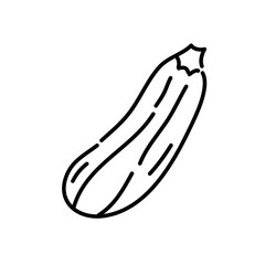 Zucchini doodle icon. Hand drawn black sketch. Vector Illustration.