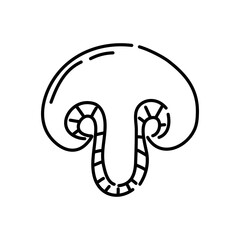 Mushroom doodle icon. Hand drawn black sketch. Vector Illustration.