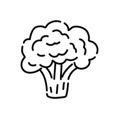 Broccoli doodle icon. Hand drawn black sketch. Vector Illustration.