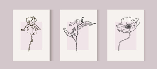 Fototapeta na wymiar Botanical wall art. Line flowers for Print. Iris, poppy and lily hand drawn set. Vector Minimal and natural wall art.