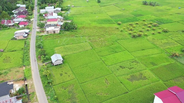 you can see from above the beautiful view of the vast expanse of green rice fields, to be precise, it is in Bungo Regency "Dusun Panjang" which includes people's houses divided by a causeway.