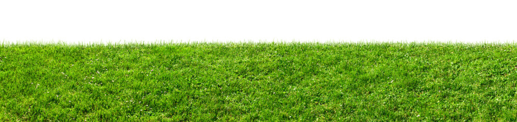 green grass field isolated, png - obrazy, fototapety, plakaty