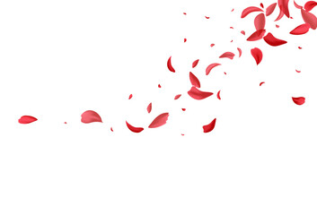 Red Flower Japanese Vector White Background. Fly
