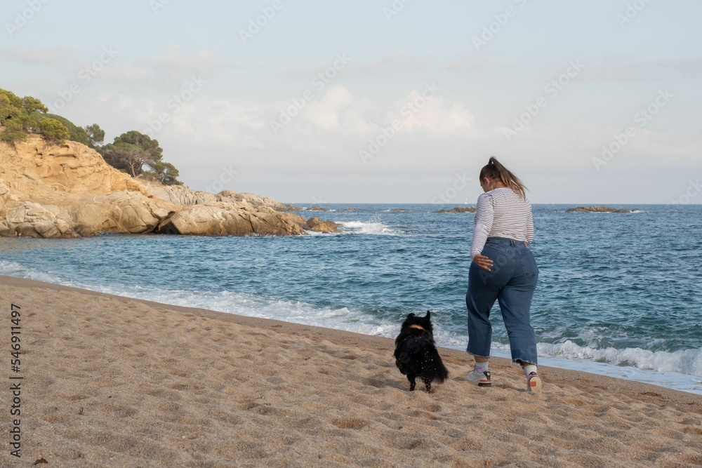 Wall mural Woman and dog playing on the beach