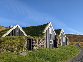 Fototapeta na wymiar Wooden rural house with green roof