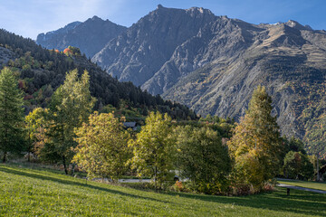 Trees in autumn fall season as seen in the mountains near Briancon in the Provence-Alpes-C&ocirc;te d'Azur region in Southeastern France, France