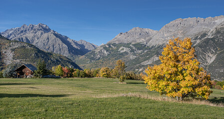 Obraz premium Trees in autumn fall season as seen in the mountains near Briancon in the Provence-Alpes-Côte d'Azur region in Southeastern France, France