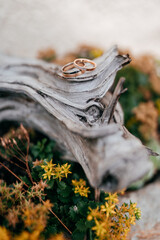 Trauringe für die Hochzeit