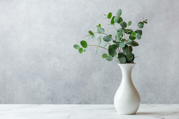 White vase with eucalyptus on a gray background