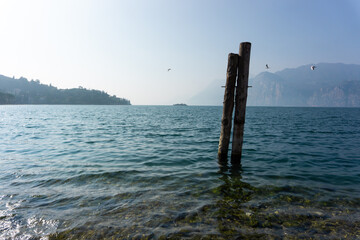 Naklejka premium Lago di Garda, Malcesine, in lontananza l'Isola dell'Olivo, Veneto, Italia