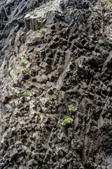columnar jointed basalt formation  at Ribera de Janela, Madeira