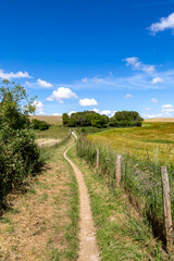 Looking along a pathway in the South Downs, on a sunny summer's day