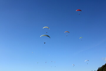 Paragliding in the French Alps