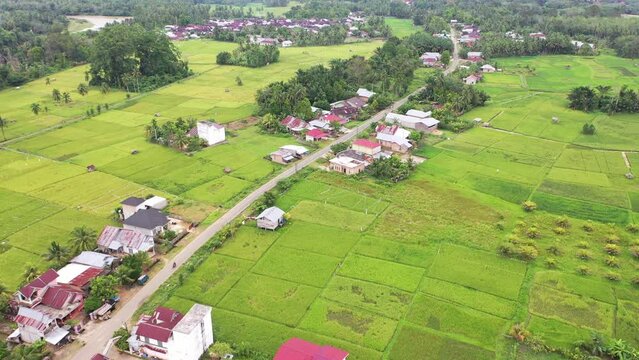 you can see from above the beautiful view of the vast expanse of green rice fields, to be precise, it is in Bungo Regency "Dusun Panjang" which includes people's houses divided by a causeway.
