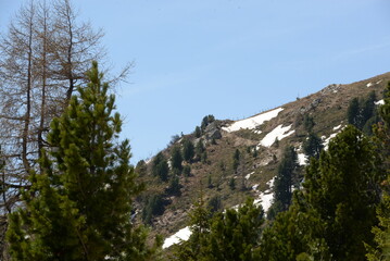 Fr&uuml;hlingsimpressionen aus den Alpen