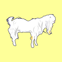 etawa goat vector design eps
