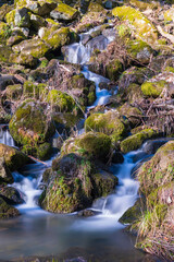 Long exposure of the Leyenbach waterfall in the Geopark Westerwald-Lahn-Taunus near Nenderoth/Germany