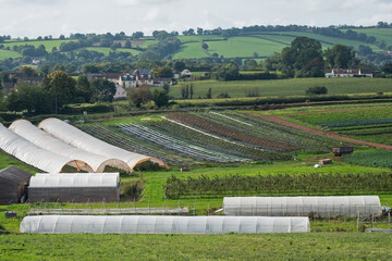 Layouts of UK market gardens producing a variety of vegetable crops grown in both the open air and in poly tunnels