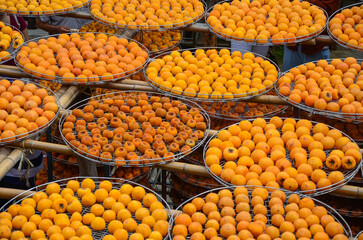 Process of Making Dried Persimmon during Windy Autumn.