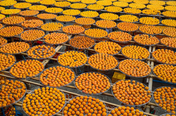 Process of Making Dried Persimmon during Windy Autumn.