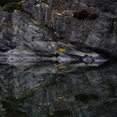 Airplane carved in stone