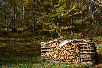 Firewood logs for cold winter days. Energy crisis