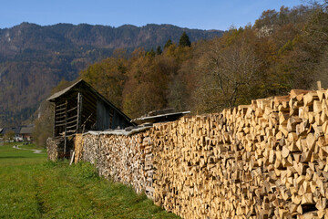 Firewood logs for cold winter days. Energy crisis