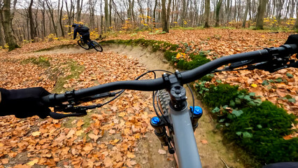 Enduro bicycle ride on the forest trails in the autumn season