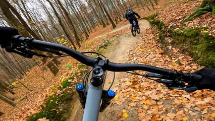 Naklejka na ściany i meble Enduro bicycle ride on the forest trails in the autumn season