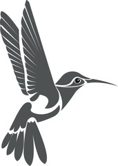 Hummingbirds silhouette. Isolated illustration vector exotic bird