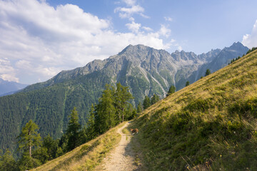 Fototapeta na wymiar Hiking around Mont Blanc, Alpine landscape