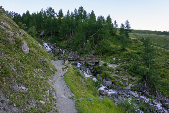 Hiking around Mont Blanc, Alpine landscape