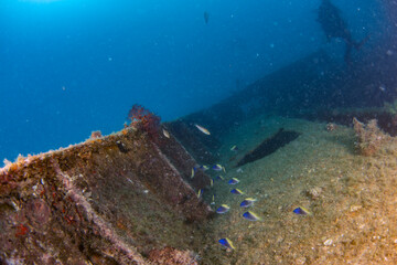 Plakat divers exploring a shipwreck underwater