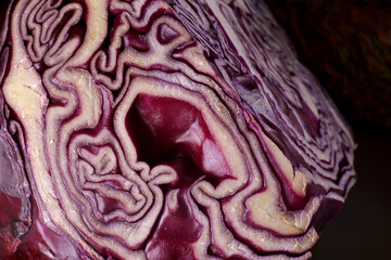 Obraz premium close-up organic red cabbage texture