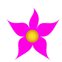 flower isolated on white