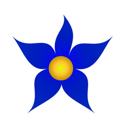 flower isolated on white