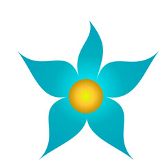 sun and flower