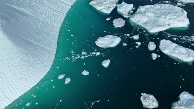 Ballenas Jorobadas nadando cerca de grandes icebergs
