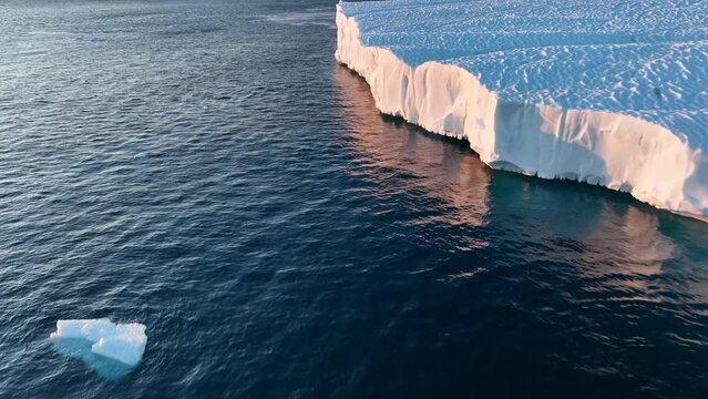 Ballenas Jorobadas nadando cerca de grandes icebergs