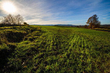 Pole w pobliżu Świeradowa
